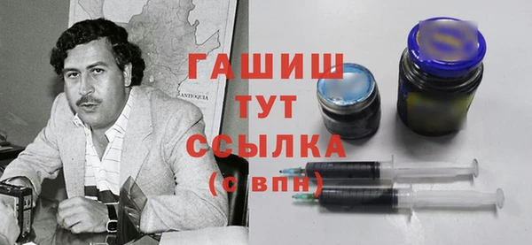 молекула духа Заполярный