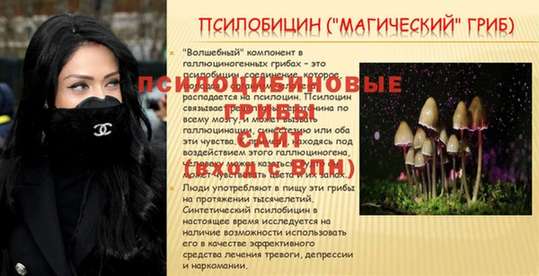 ALPHA-PVP Алексин