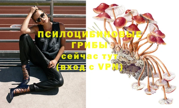 шишки Алексеевка