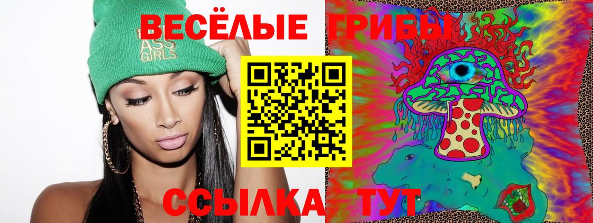 Псилоцибиновые грибы Cubensis  Псилоцибиновые грибы Psilocybe  Аша  Вход с VPN 