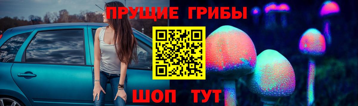 Галлюциногенные грибы Cubensis Аша